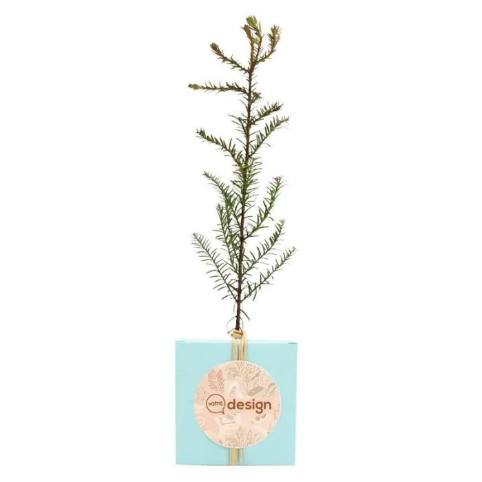 Le cube arbre personnalisé - Prestige