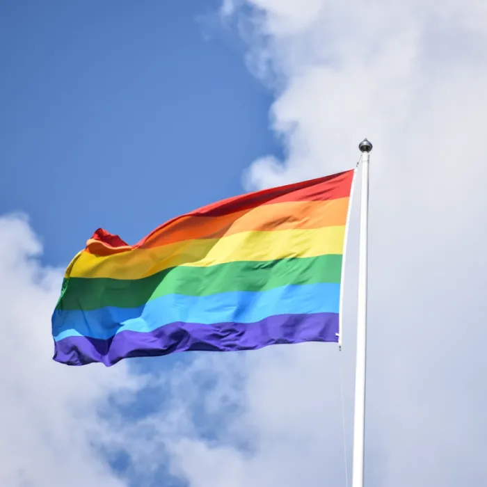 LGBTQIA+-vlag