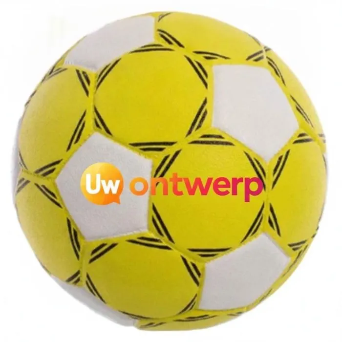 Personaliseerbare handbal T3 - Praktische training