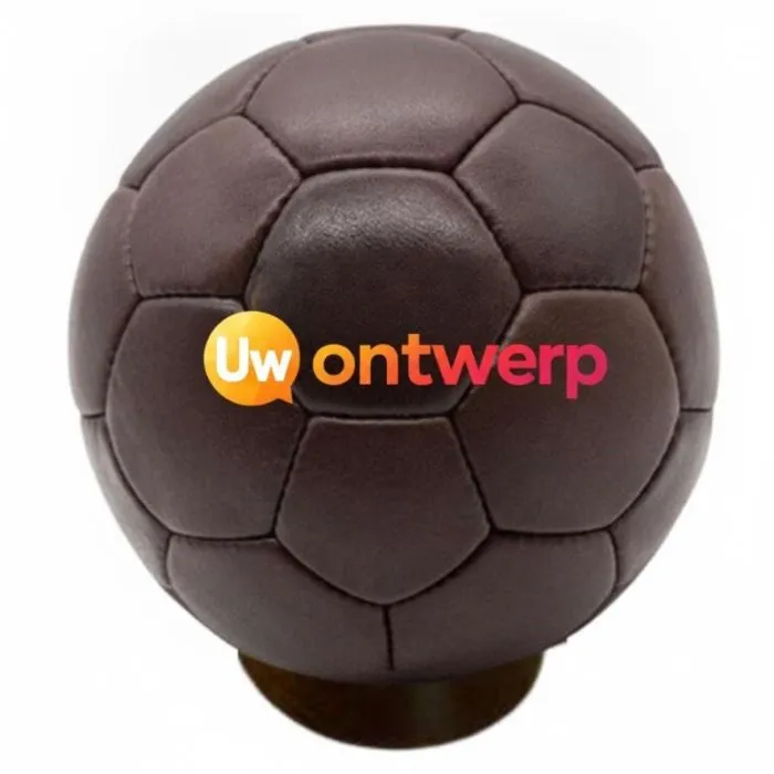 Vintage T5-handbal van leer, personaliseerbaar – Prestige
