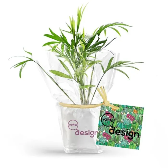 Mini plante en pot céramique personnalisé - blanc