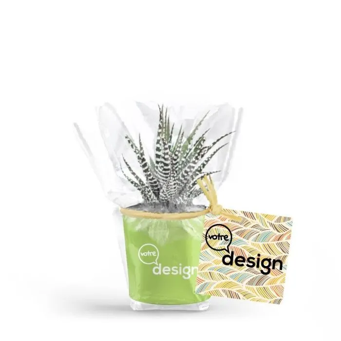 Mini plante en pot céramique personnalisé - Vert