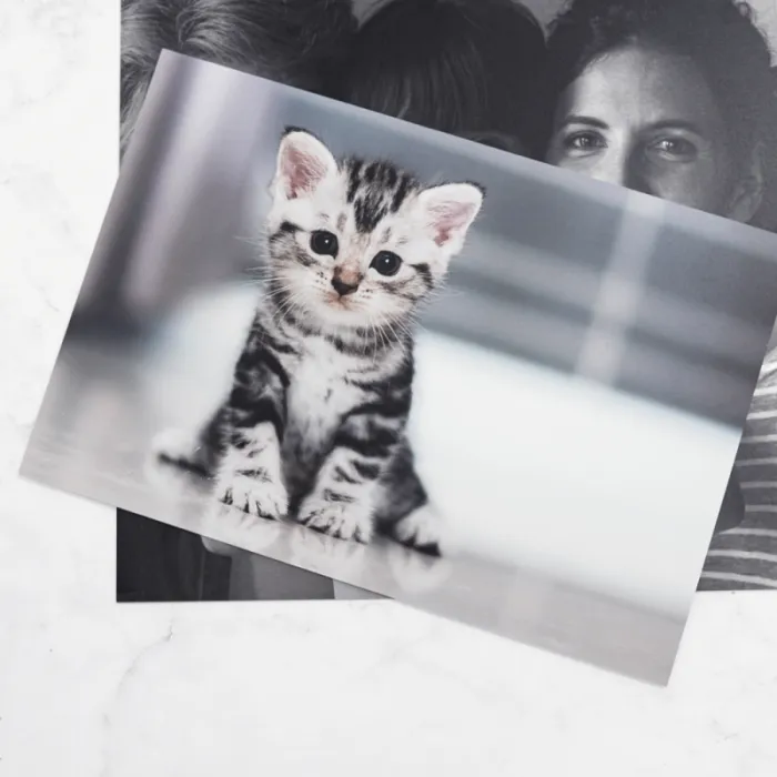 Photo personnalisée sur aluminium robuste intérieur extérieur