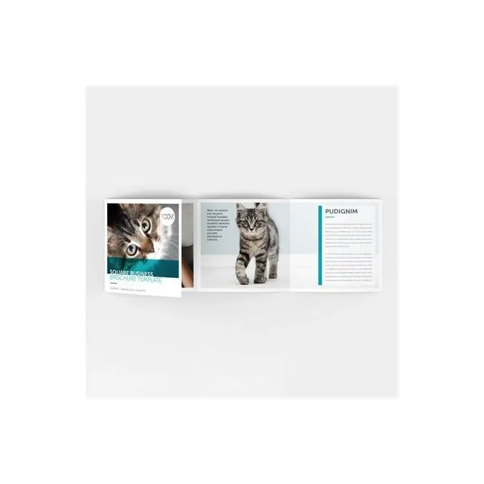Vouwfolder met 4 uitklapbare vellen, naar wens te personaliseren