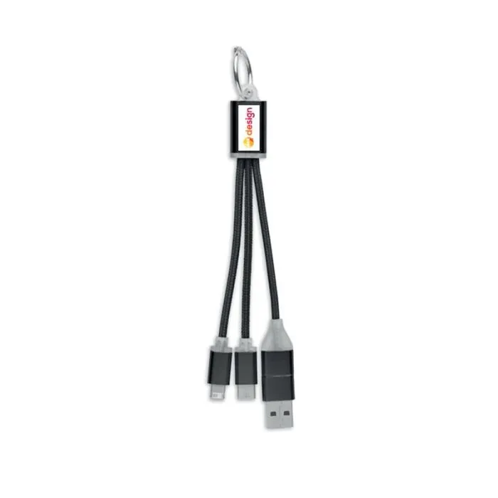 Câble publicitaire de charge 4 en 1 type C - BLUE