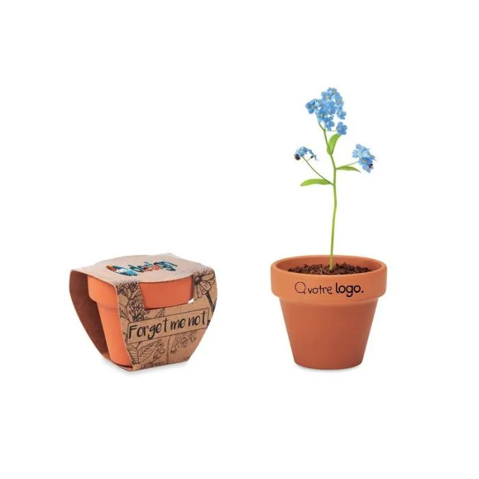 Pot graines de myosotis personnalisé FORGET ME NOT