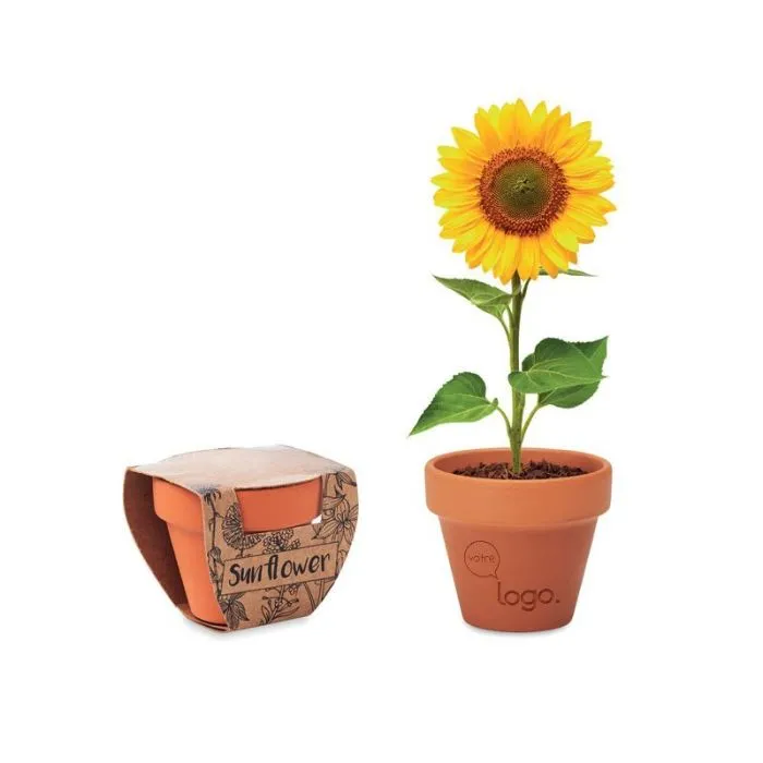 Pot publicitaire graines de tournesol SUNFLOWER