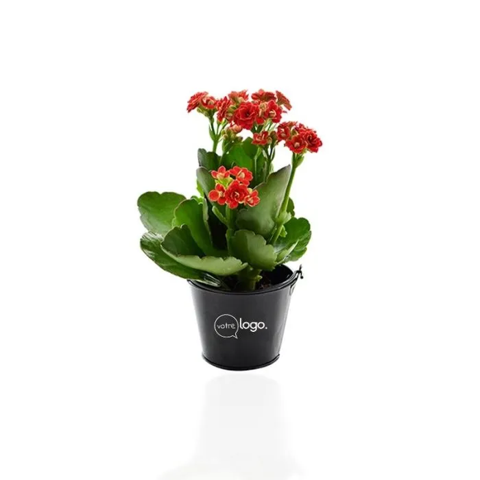Plante verte en pot en zinc aimanté personnalisé