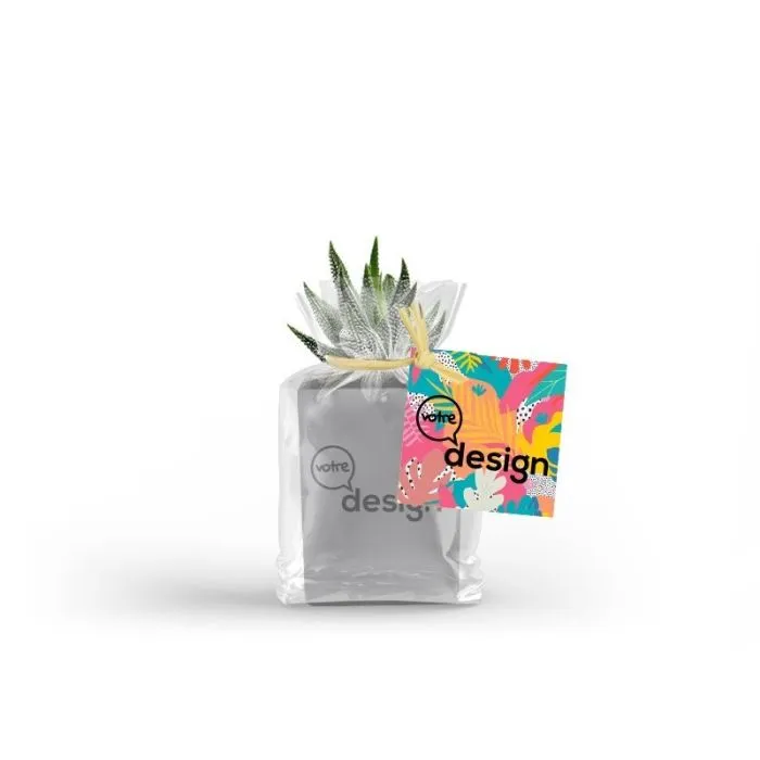 Plante personnalisée avec pot gris pour ordinateur