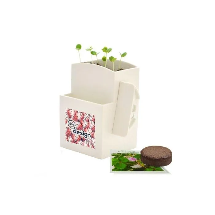 Vegetal-box de bureau personnalisé - Blanche