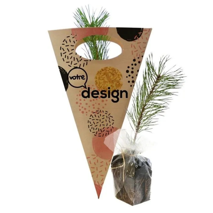 Plant d'arbre en cornet kraft personnalisable – Résineux