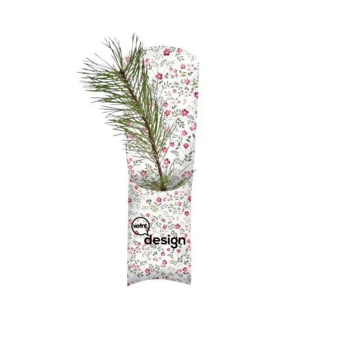 Plant d'arbre en étui publicitaire – Résineux