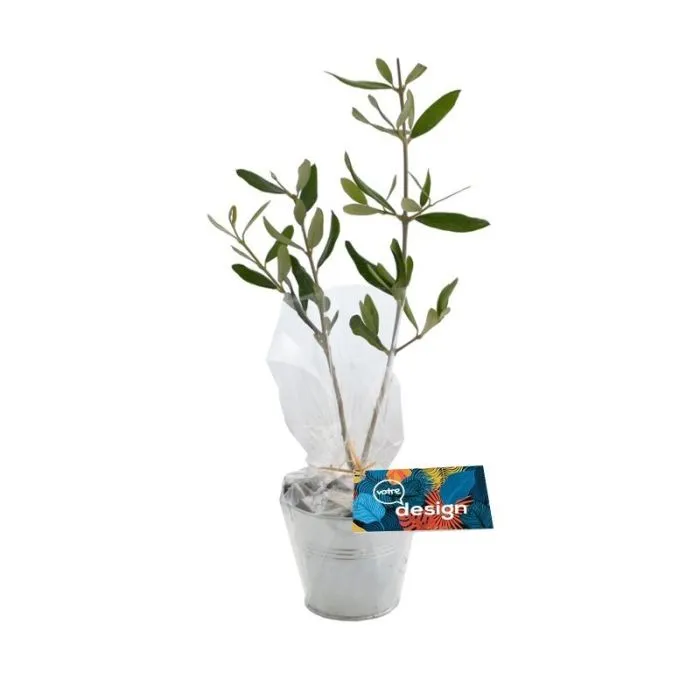 Plant en pot zinc personnalisable
