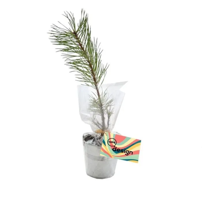 Plant d'arbre en pot zinc personnalisable