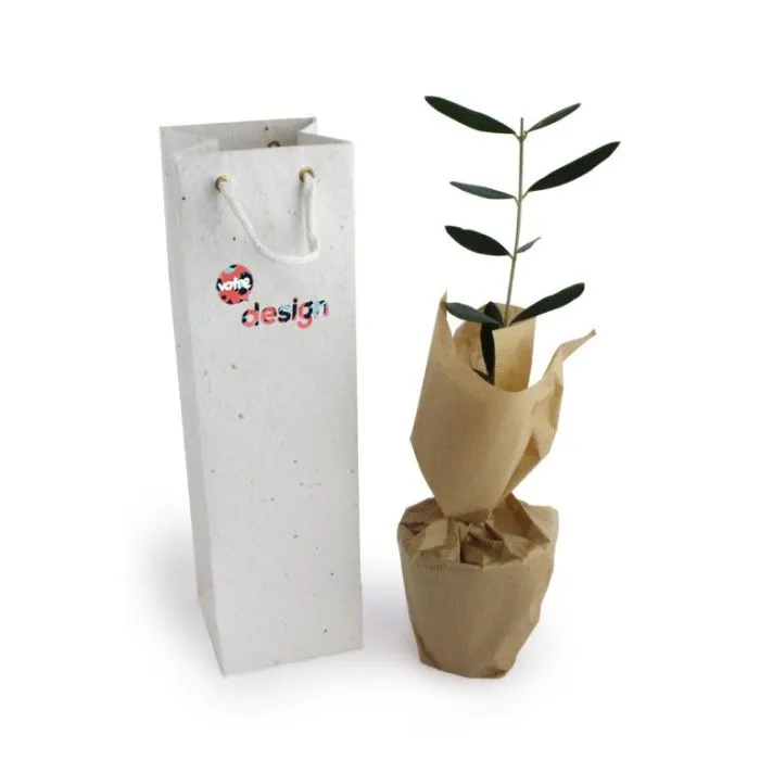 Plant arbre en sac à semer personnalisable - Résineux