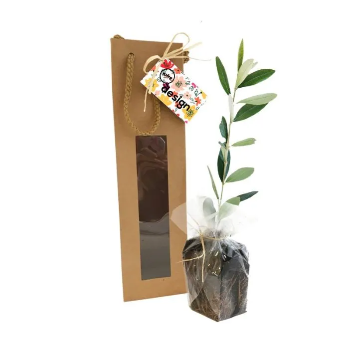 Plant d'olivier en sac kraft personnalisé avec fenêtre