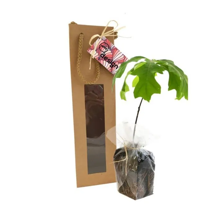 Plant d'arbre feuillus en sac kraft personnalisé avec fenêtre – Feuillus